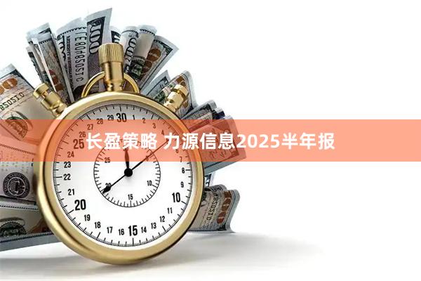 长盈策略 力源信息2025半年报
