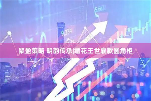 聚盈策略 明韵传承|缅花王世襄款圆角柜