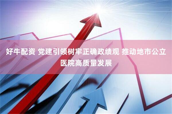 好牛配资 党建引领树牢正确政绩观 推动地市公立医院高质量发展