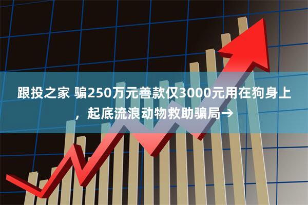 跟投之家 骗250万元善款仅3000元用在狗身上，起底流浪动物救助骗局→